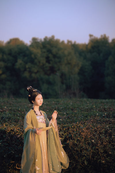 野花高清在线资源