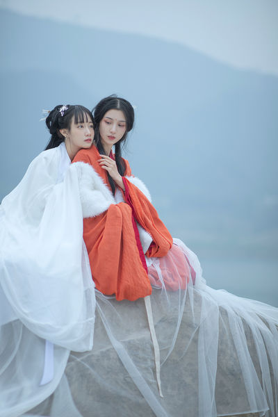 杨门十二寡妇肉床电影