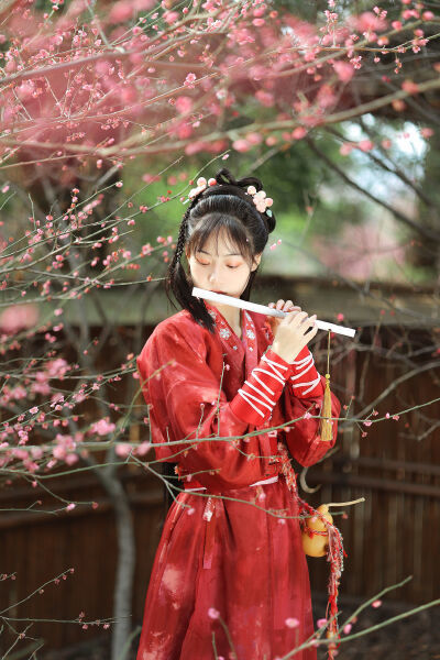 给我播放个免费的片