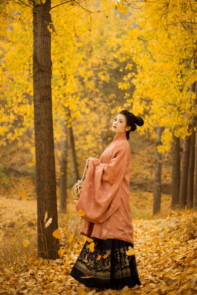 美女视频脱空全都露视频