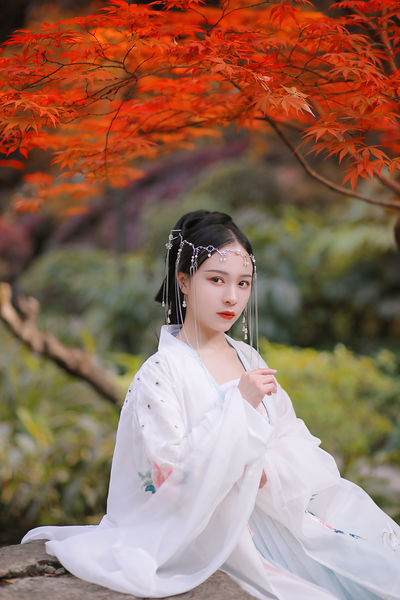 丁香花高清电视剧在线