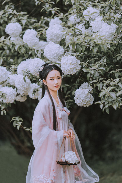 动漫美女操
