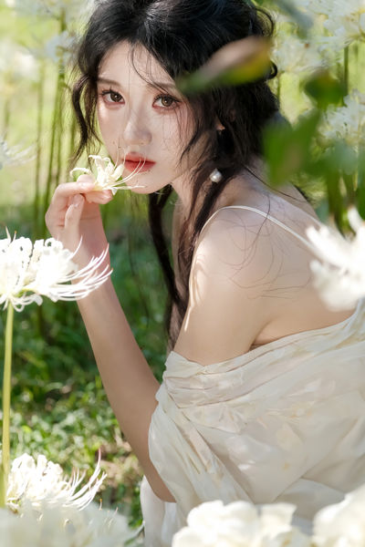 樱花草在线播放免费高清观看