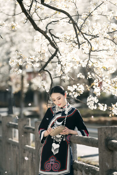 野花日本免费在线观看