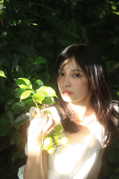 日本一本二本三本的区别是视频