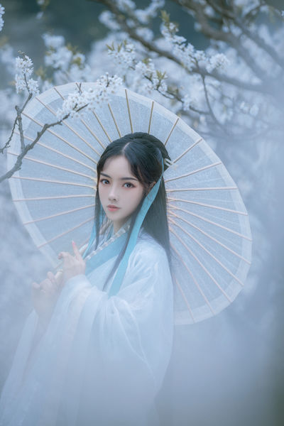 篱笆女人和狗全集