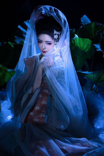 樱花草在线播放免费中文