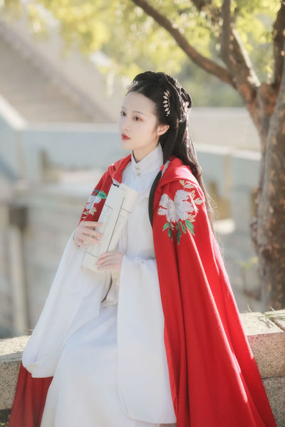 动漫美女爆羞羞动漫在线