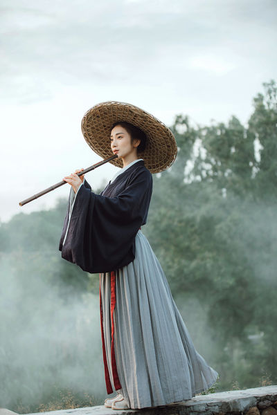 花蝴蝶电视剧免费观看全集在线