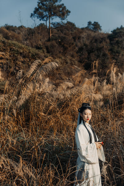 篱笆女人和狗全集