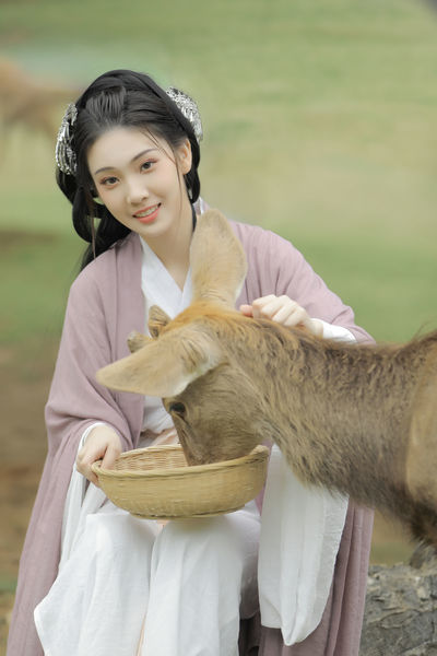 野花免费观看高清在线观看